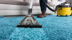 Evcil Hayvanlı Aileler İçin 2025’in En Etkili Halı Yıkama Makineleri - TechnoTure Haber